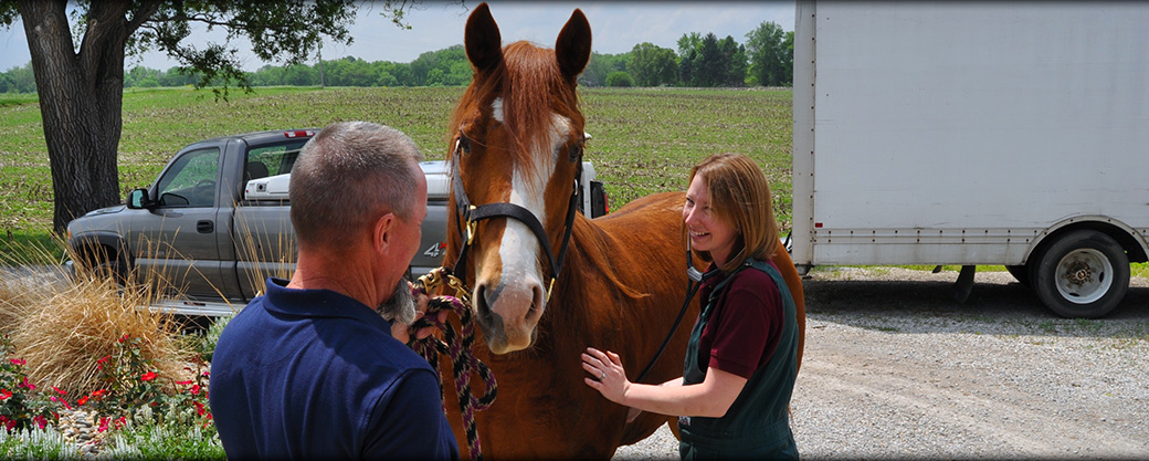 CLarge animal Veterinarians in Pleasant Plains IL
