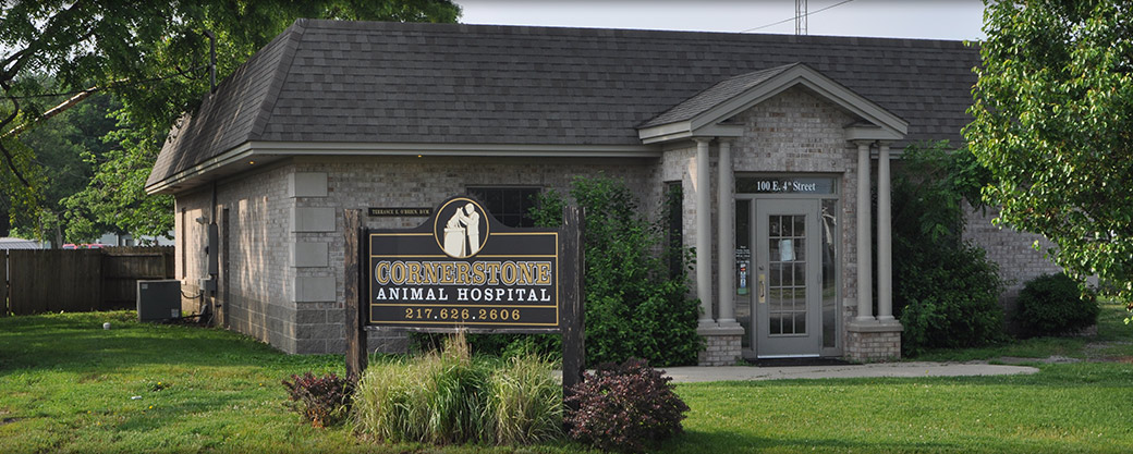 At Cornerstone Animal Hospital, we are proud to provide expert veterinary services for small and large animals